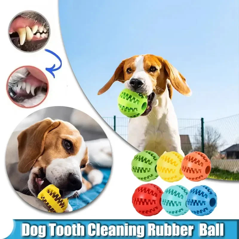 Dog Toy Ball Interactive Elasticity Puppy Chew Toy Nontoxic Bite Resistant Dog Pet Food Treat Feeder Chew Tooth Cleaning Ball - A&V