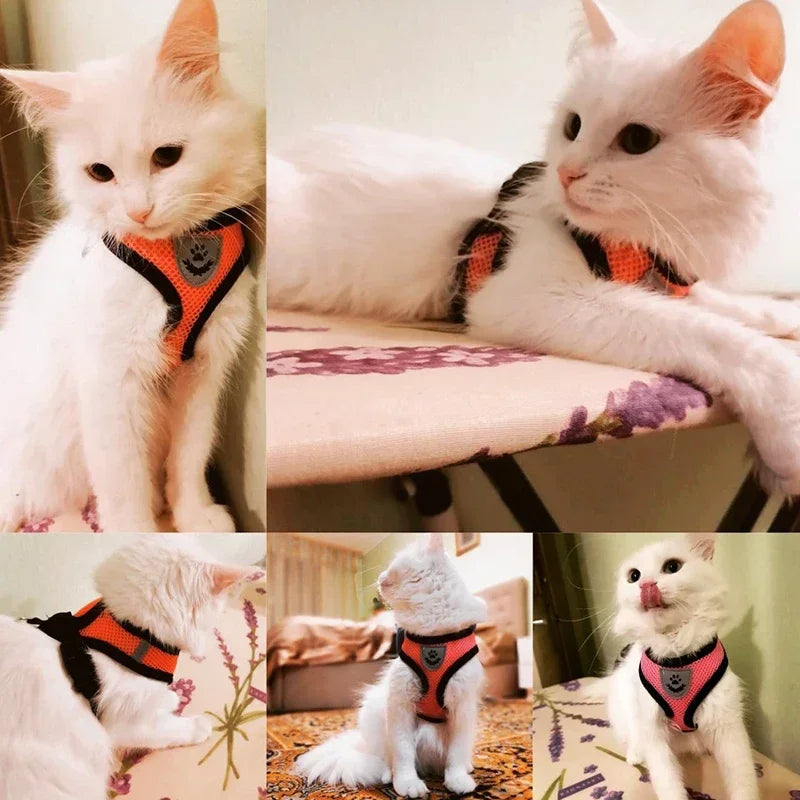 Cat Harness Vest Walking Lead Leash For Puppy Dogs Collar Polyester Adjustable Mesh Dog Harness For Small Medium Pet Accessories - A&V
