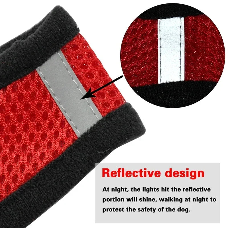 Cat Harness Vest Walking Lead Leash For Puppy Dogs Collar Polyester Adjustable Mesh Dog Harness For Small Medium Pet Accessories - A&V