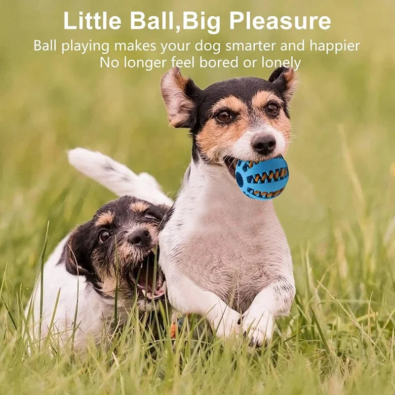 Dog Toy Ball Interactive Elasticity Puppy Chew Toy Nontoxic Bite Resistant Dog Pet Food Treat Feeder Chew Tooth Cleaning Ball - A&V