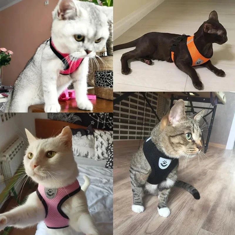 Cat Harness Vest Walking Lead Leash For Puppy Dogs Collar Polyester Adjustable Mesh Dog Harness For Small Medium Pet Accessories - A&V