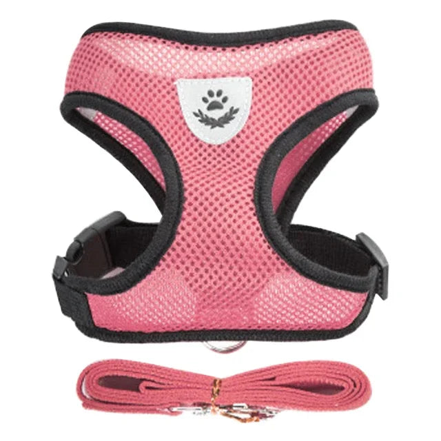 Cat Harness Vest Walking Lead Leash For Puppy Dogs Collar Polyester Adjustable Mesh Dog Harness For Small Medium Pet Accessories - A&V